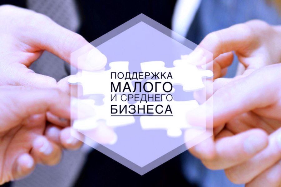 Предприниматели Мордовии могут получить поддержку через систему «Цифровой профиль»